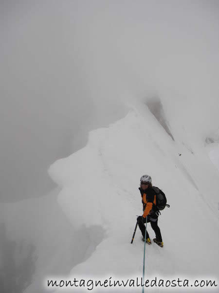 aiguille de rocherfrt