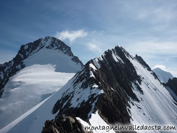 alpi bernesi