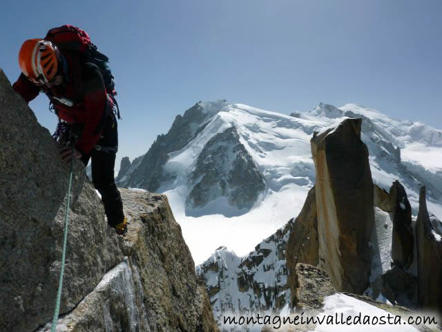 aretes des cosmiques