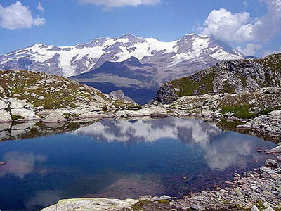 laghi netscio