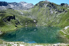 lago loie bardoney