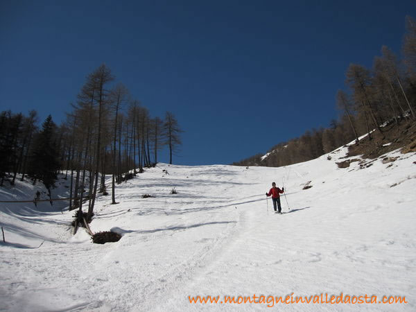 alpeggi vermianaz