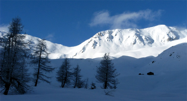 monte di vertosan