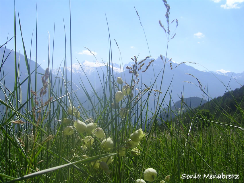 valle d'aosta calendario