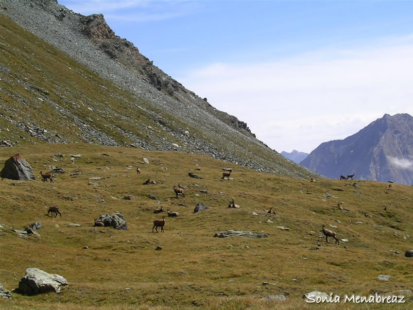 valle d'aosta calendario