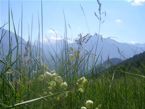 valle d'aosta calendario