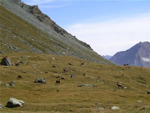 valle d'aosta calendario