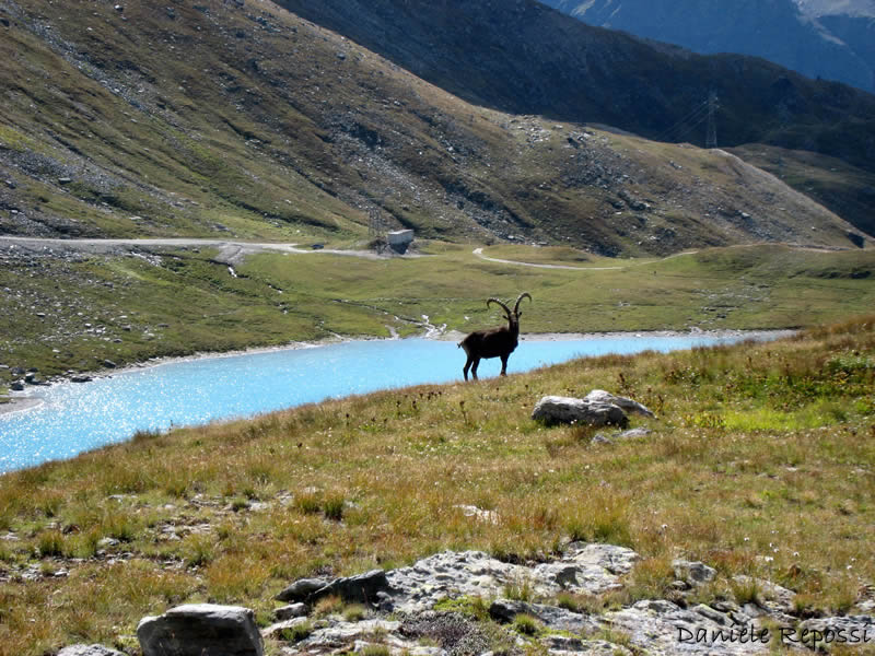 luglio_2013